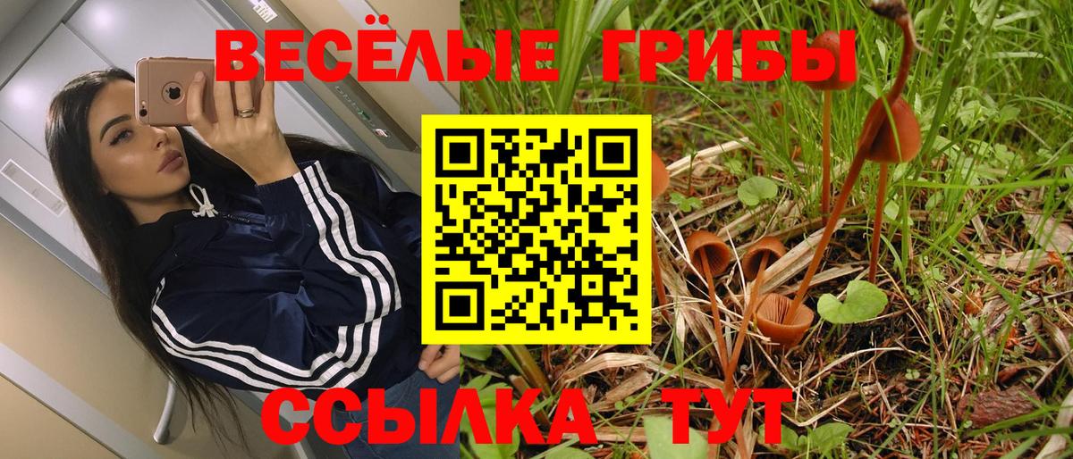 Галлюциногенные грибы Psilocybine cubensis Аргун