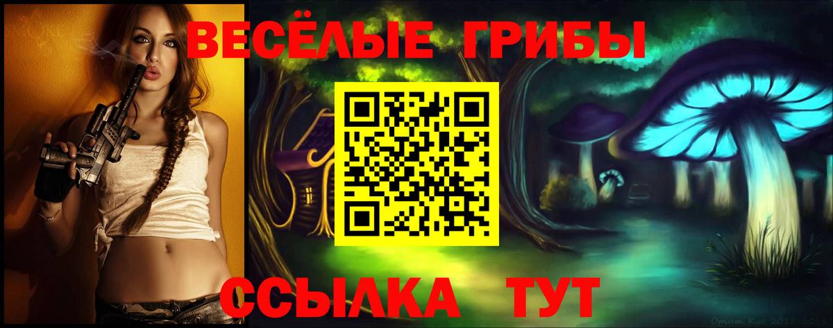 Галлюциногенные грибы Cubensis  купить закладку  Аргун  Вход с VPN  Псилоцибиновые грибы мицелий 